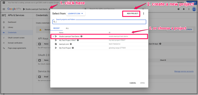 How To Setup Google Login/Signup On Your Academy step 3